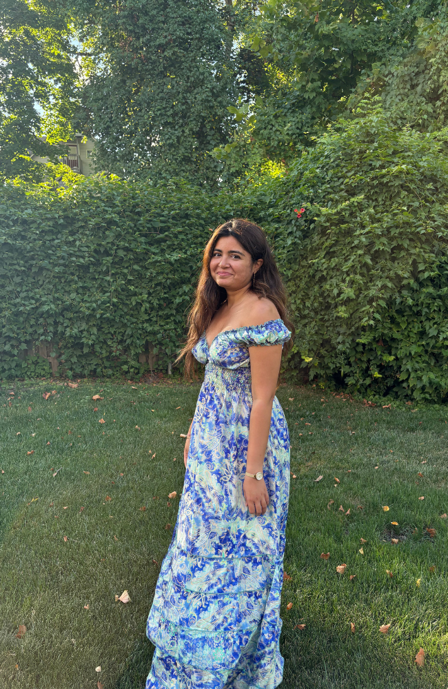 BLUEBELL SKIES DRESS
